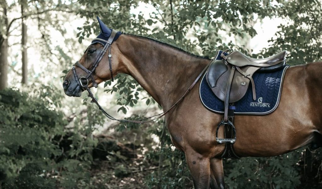 Selle cheval